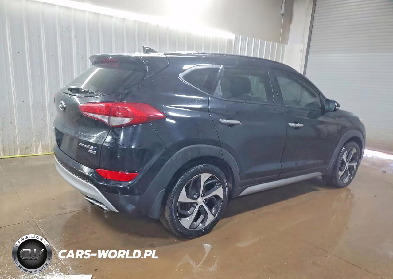 2017 Hyundai Tucson VIN:KM8J3CA29HU339143 - 3