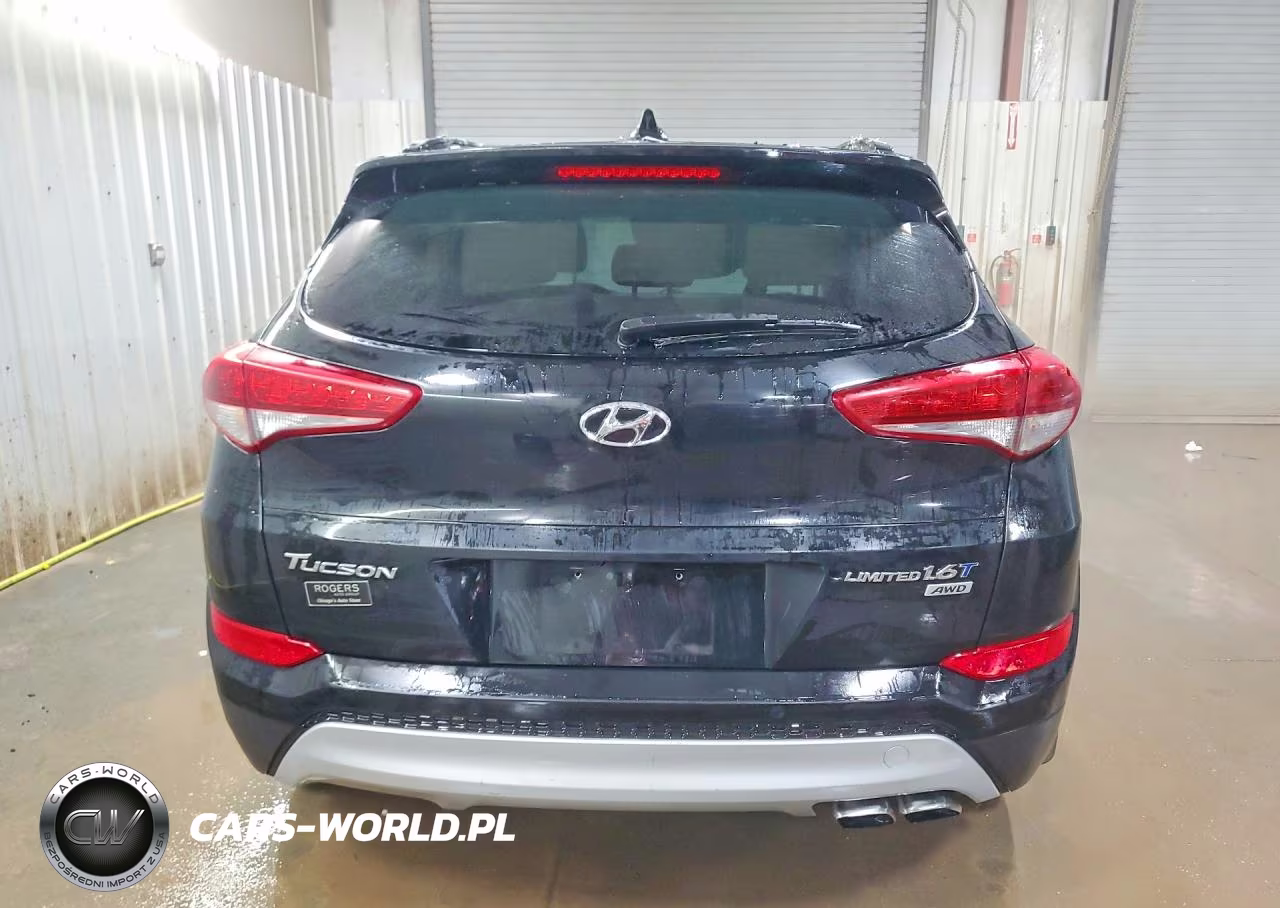 2017 Hyundai Tucson VIN:KM8J3CA29HU339143 - 6