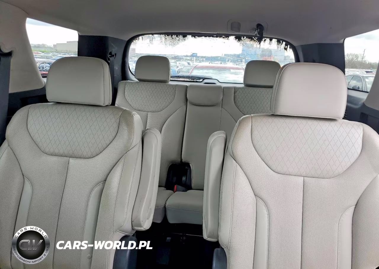2020 Hyundai Palisade Sel VIN:KM8R4DHE9LU144920 - 10