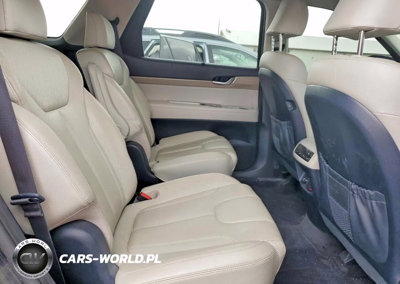 2020 Hyundai Palisade Sel VIN:KM8R4DHE9LU144920 - 11
