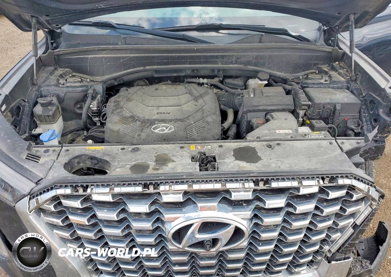 2020 Hyundai Palisade Sel VIN:KM8R4DHE9LU144920 - 12