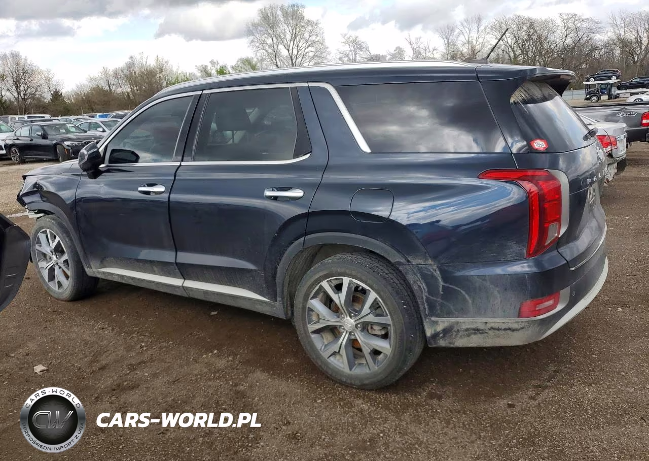 2020 Hyundai Palisade Sel VIN:KM8R4DHE9LU144920 - 2