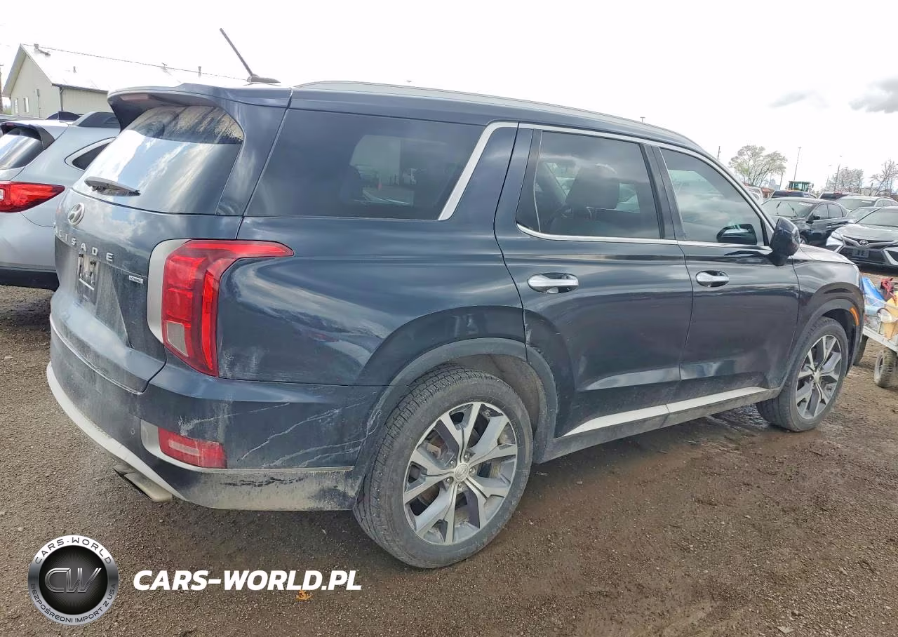 2020 Hyundai Palisade Sel VIN:KM8R4DHE9LU144920 - 3