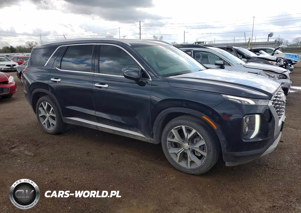 2020 Hyundai Palisade Sel VIN:KM8R4DHE9LU144920 - 4