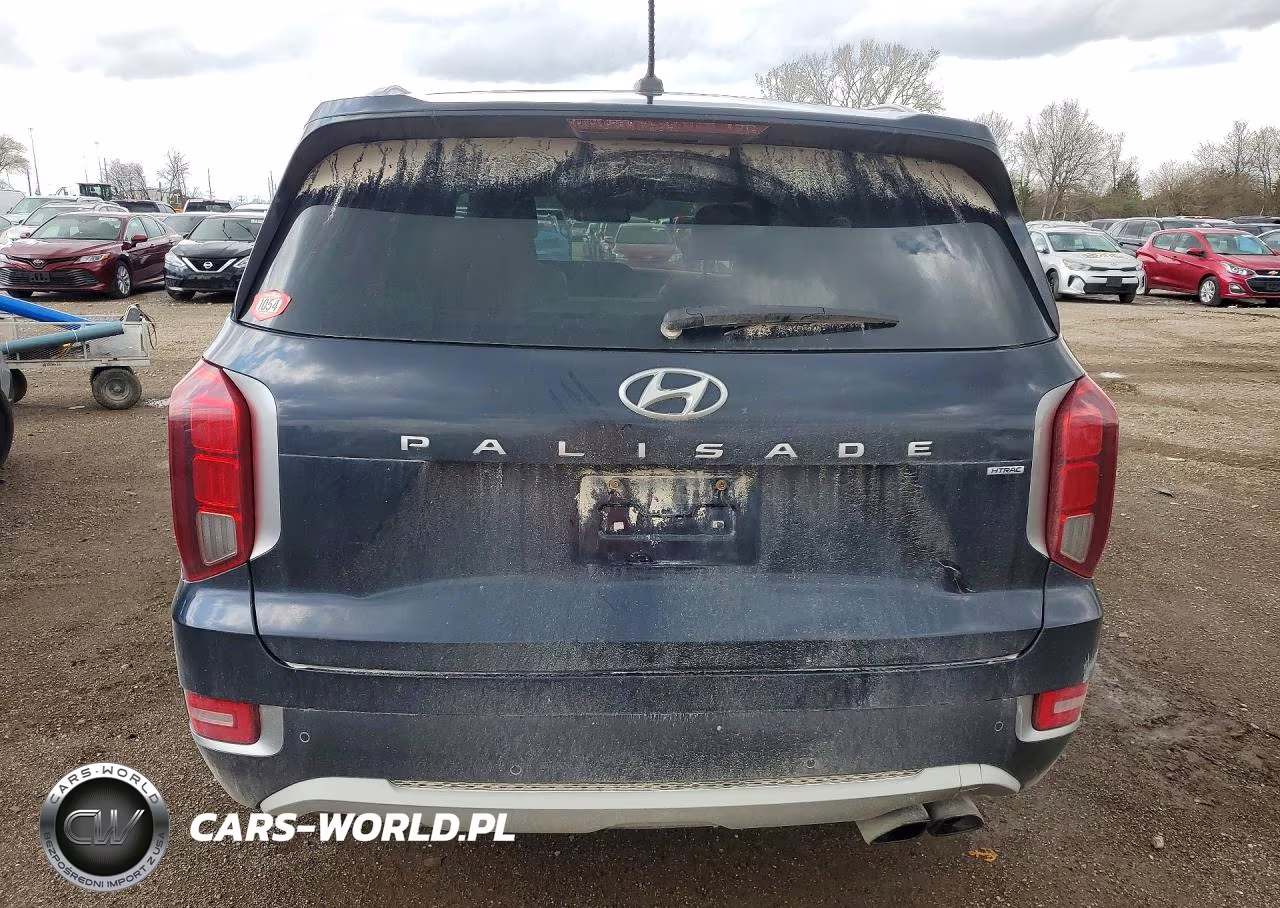 2020 Hyundai Palisade Sel VIN:KM8R4DHE9LU144920 - 6
