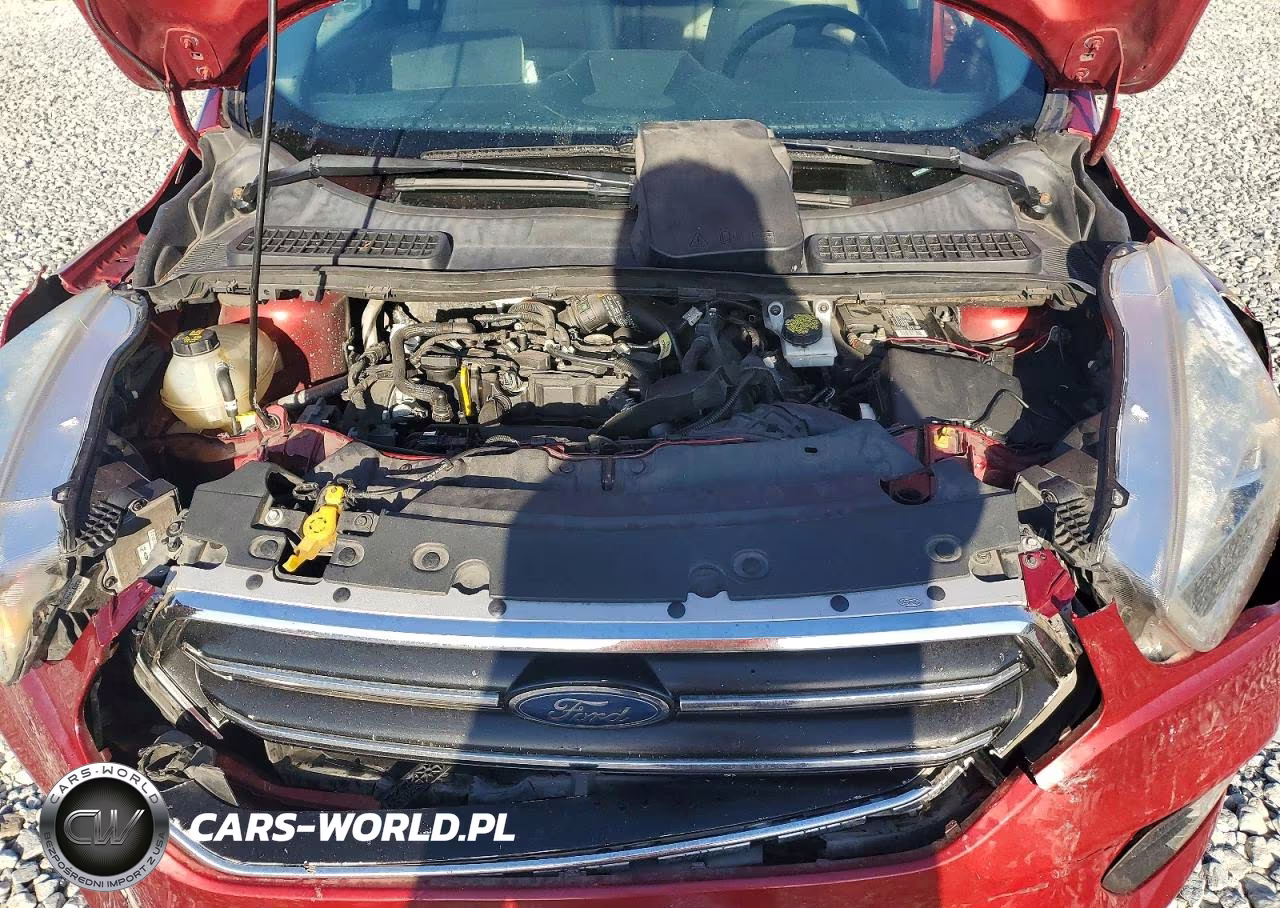 2019 Ford Escape Sel VIN:1FMCU0HD5KUC28642 - 12