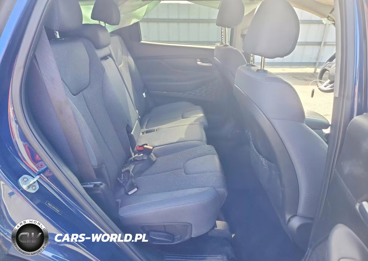 2020 Hyundai Santa Fe VIN:5NMS3CAD9LH226464 - 11