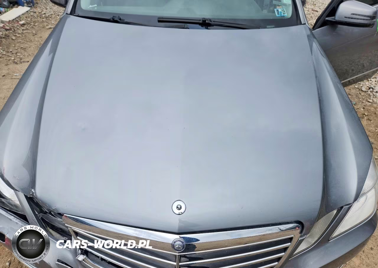 2010 Mercedes-Benz E 350 4Matic VIN:WDDHF8HB5AA165730 - 11
