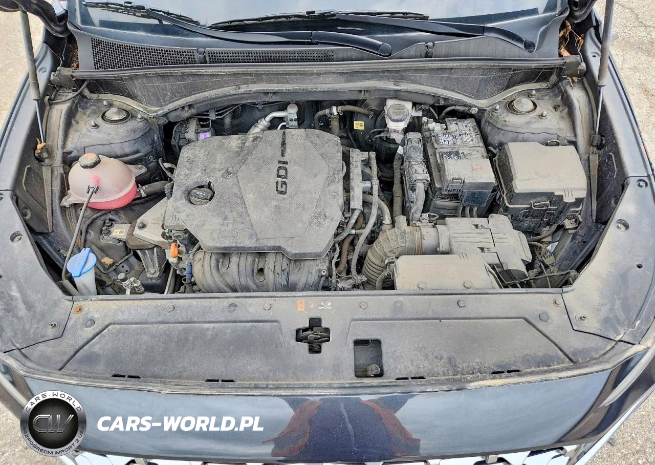 2023 Hyundai Santa Fe Sel Premium VIN:5NMS3DAJ7PH533925 - 12