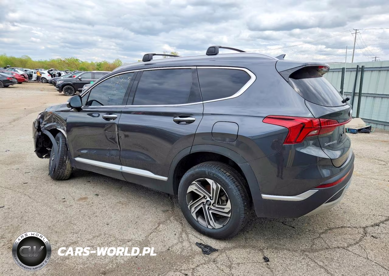 2023 Hyundai Santa Fe Sel Premium VIN:5NMS3DAJ7PH533925 - 2