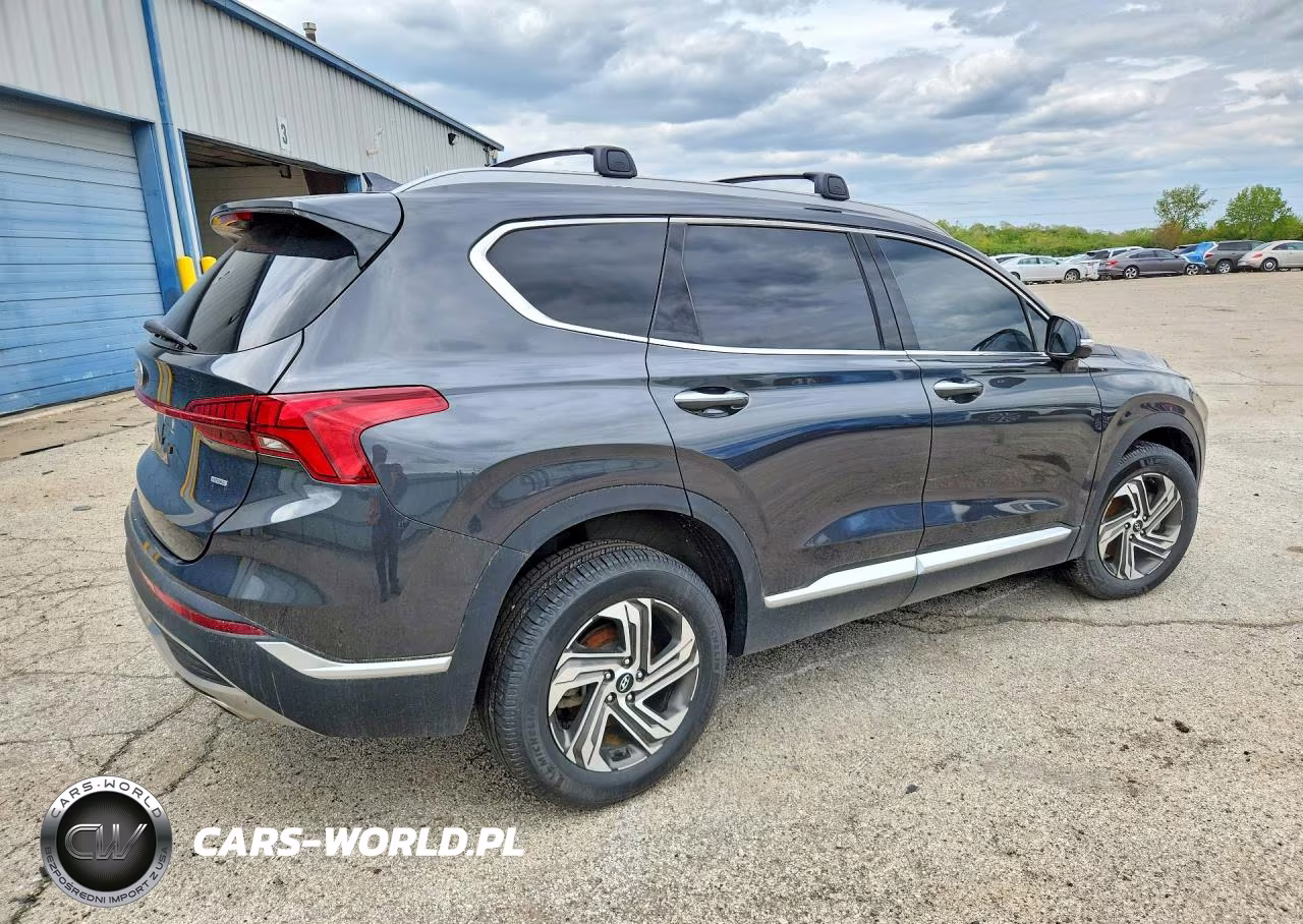 2023 Hyundai Santa Fe Sel Premium VIN:5NMS3DAJ7PH533925 - 3