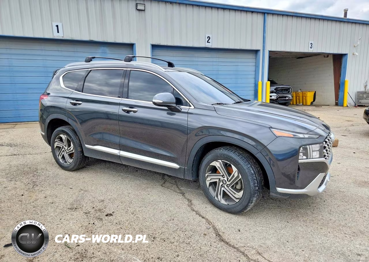 2023 Hyundai Santa Fe Sel Premium VIN:5NMS3DAJ7PH533925 - 4