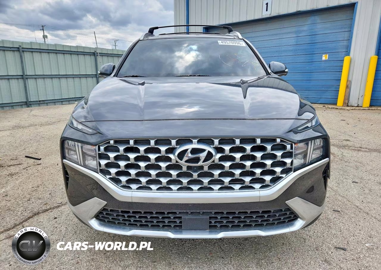 2023 Hyundai Santa Fe Sel Premium VIN:5NMS3DAJ7PH533925 - 5