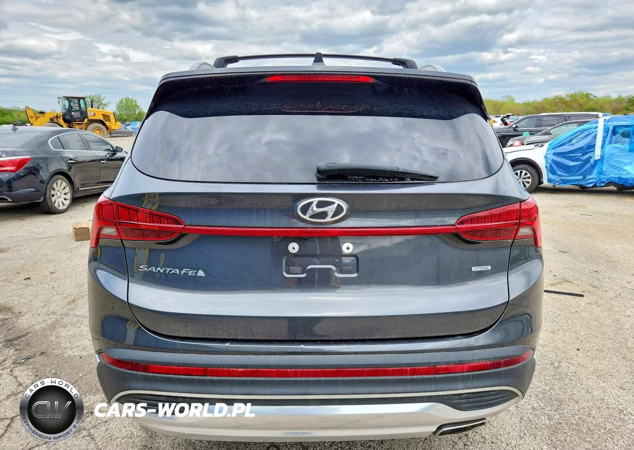 2023 Hyundai Santa Fe Sel Premium VIN:5NMS3DAJ7PH533925 - 6