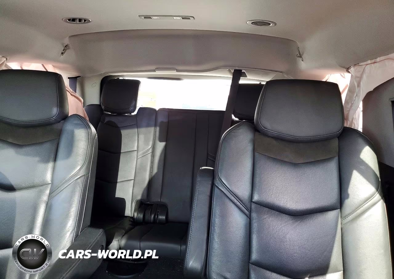 2020 Cadillac Escalade Luxury VIN:1GYS3BKJ2LR241182 - 10