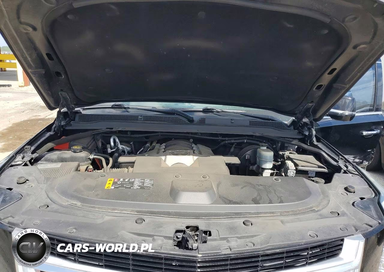 2020 Cadillac Escalade Luxury VIN:1GYS3BKJ2LR241182 - 12