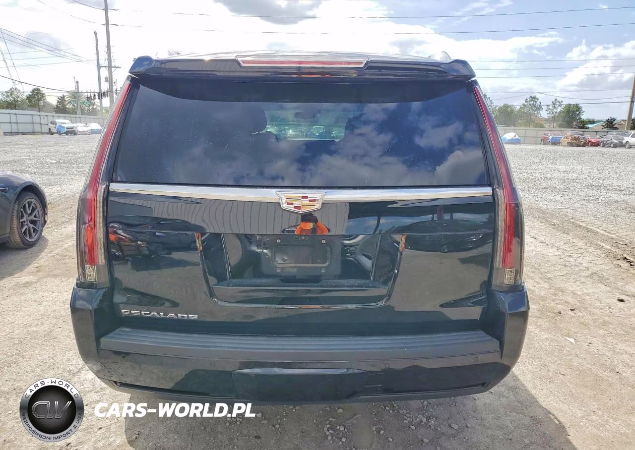 2020 Cadillac Escalade Luxury VIN:1GYS3BKJ2LR241182 - 6