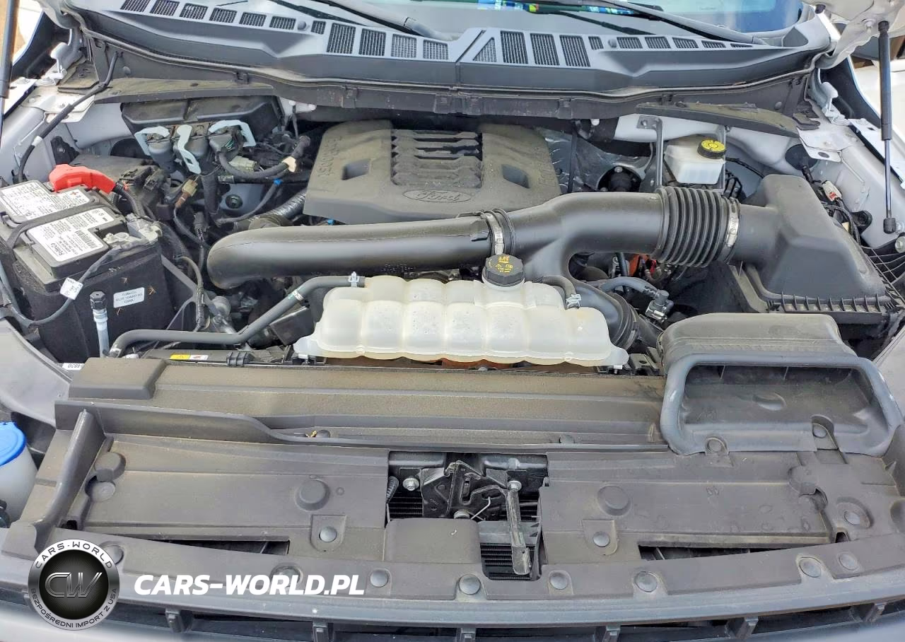 2023 Ford F150 Supercrew VIN:1FTFW1E82PFC06456 - 11