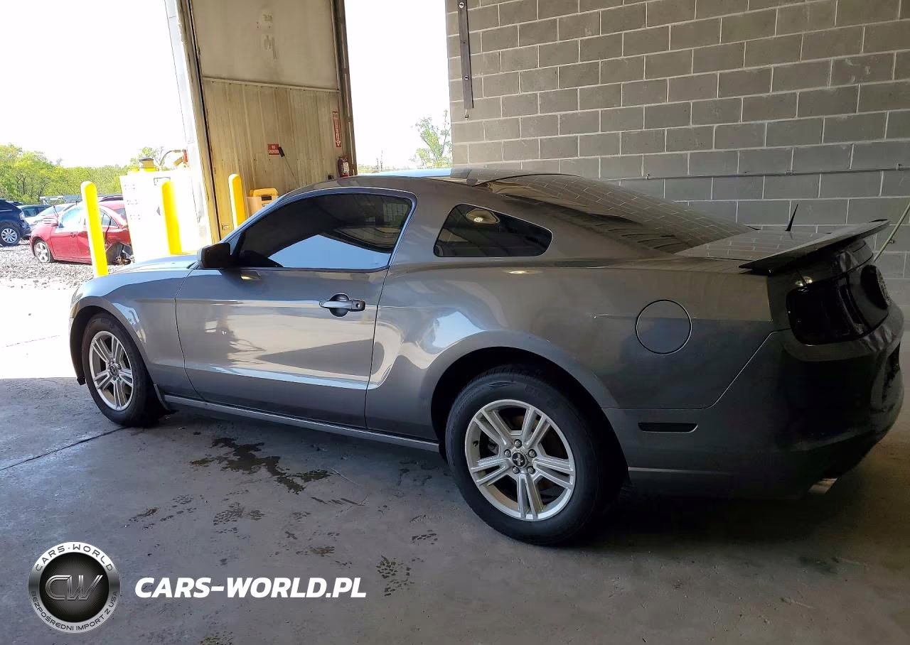 FORD MUSTANG VIN:1ZVBP8AM9E5204081 - 2