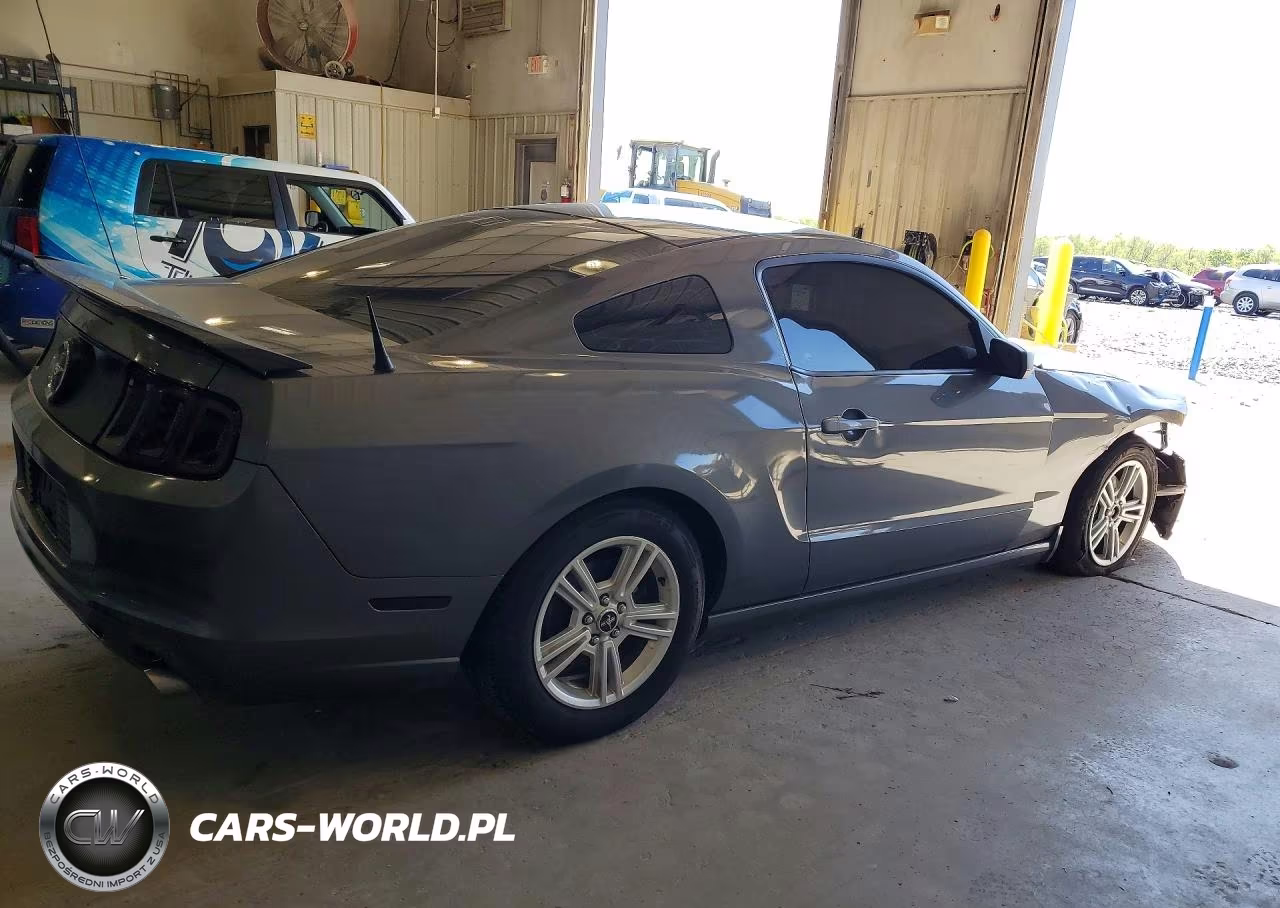 FORD MUSTANG VIN:1ZVBP8AM9E5204081 - 3