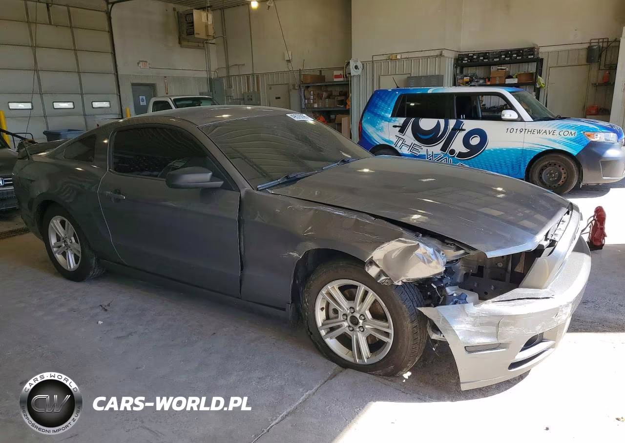 FORD MUSTANG VIN:1ZVBP8AM9E5204081 - 4