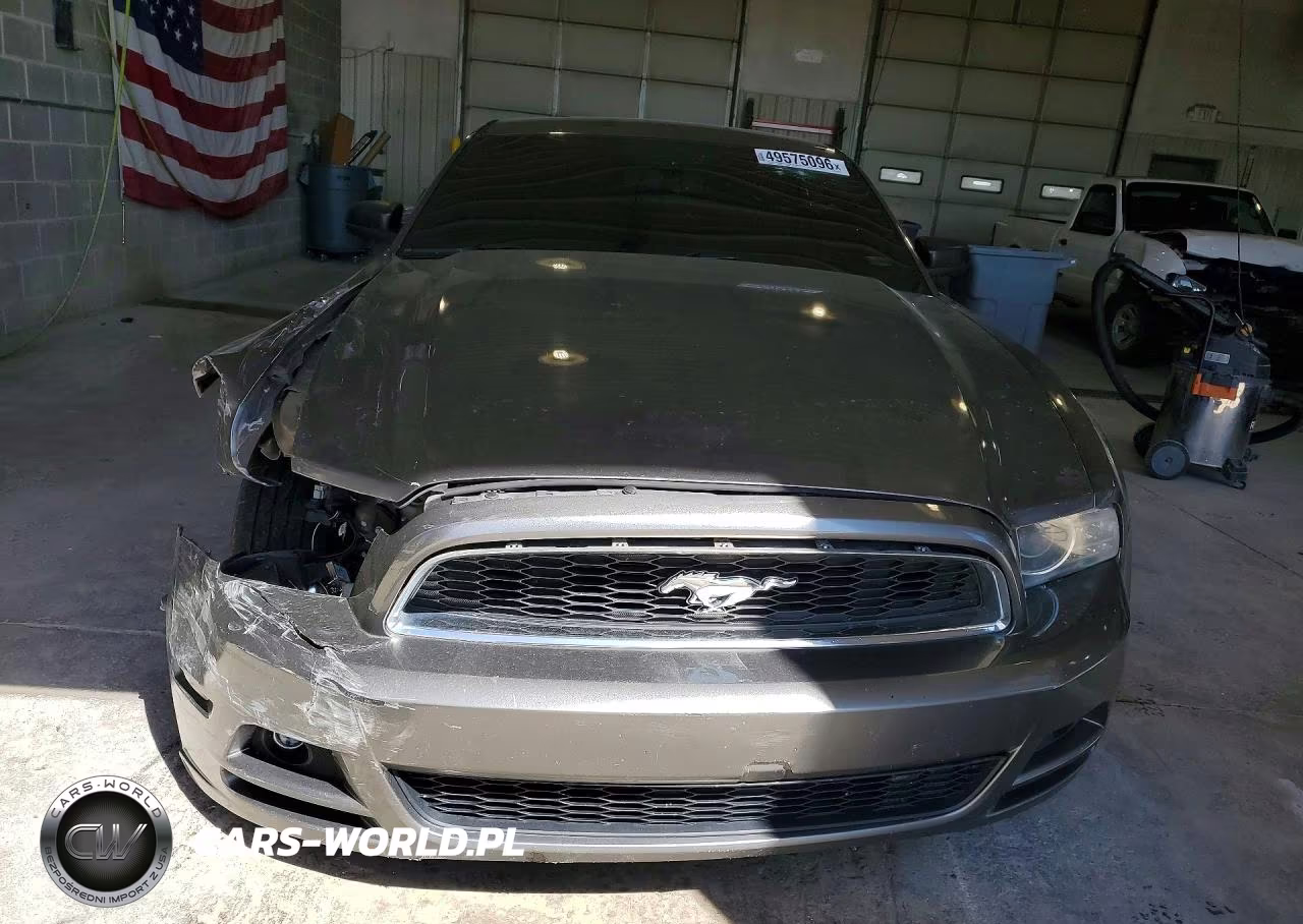 FORD MUSTANG VIN:1ZVBP8AM9E5204081 - 5