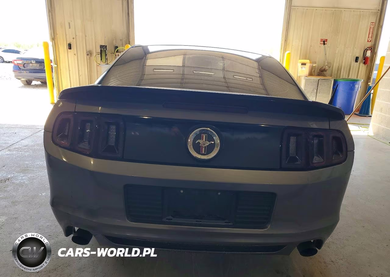 FORD MUSTANG VIN:1ZVBP8AM9E5204081 - 6