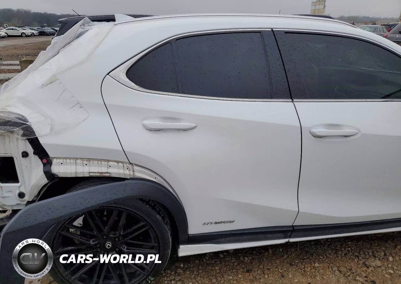 2020 Lexus Ux 250H VIN:JTHR9JBH1L2020075 - 10