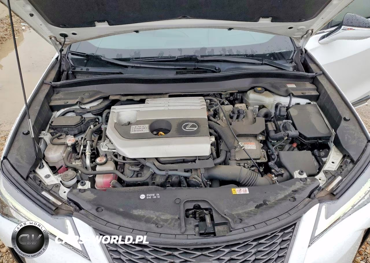 2020 Lexus Ux 250H VIN:JTHR9JBH1L2020075 - 11