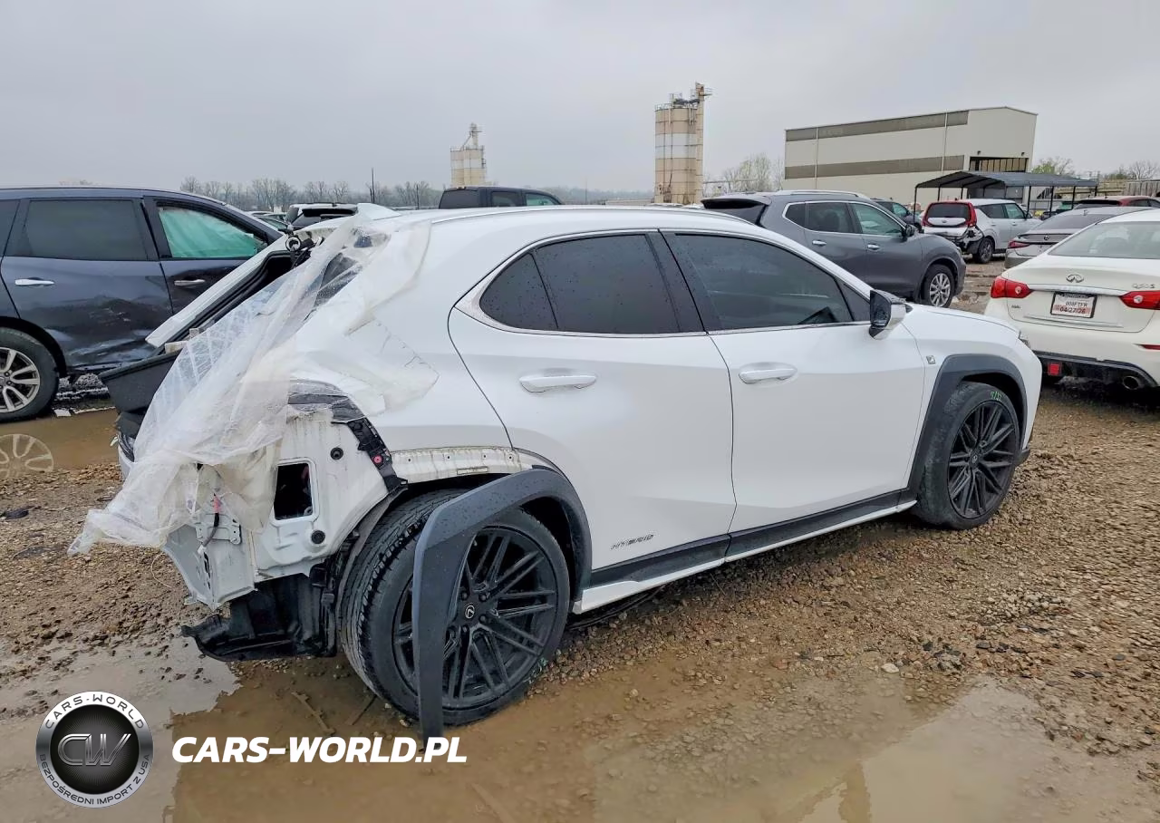 2020 Lexus Ux 250H VIN:JTHR9JBH1L2020075 - 3