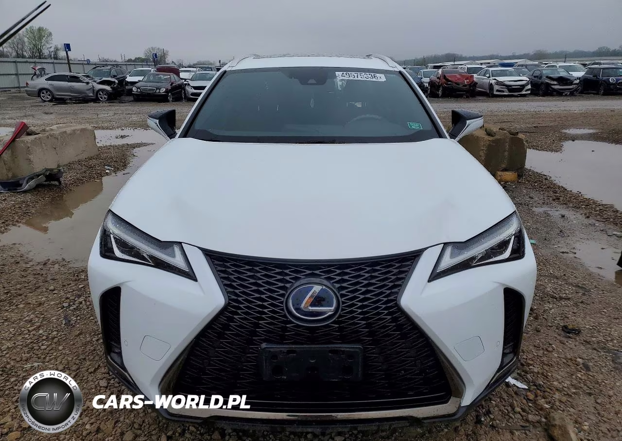 2020 Lexus Ux 250H VIN:JTHR9JBH1L2020075 - 5