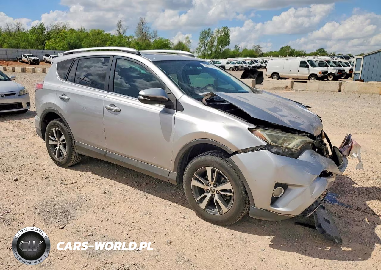 2016 Toyota Rav4 Xle VIN:2T3WFREV3GW272579 - 4