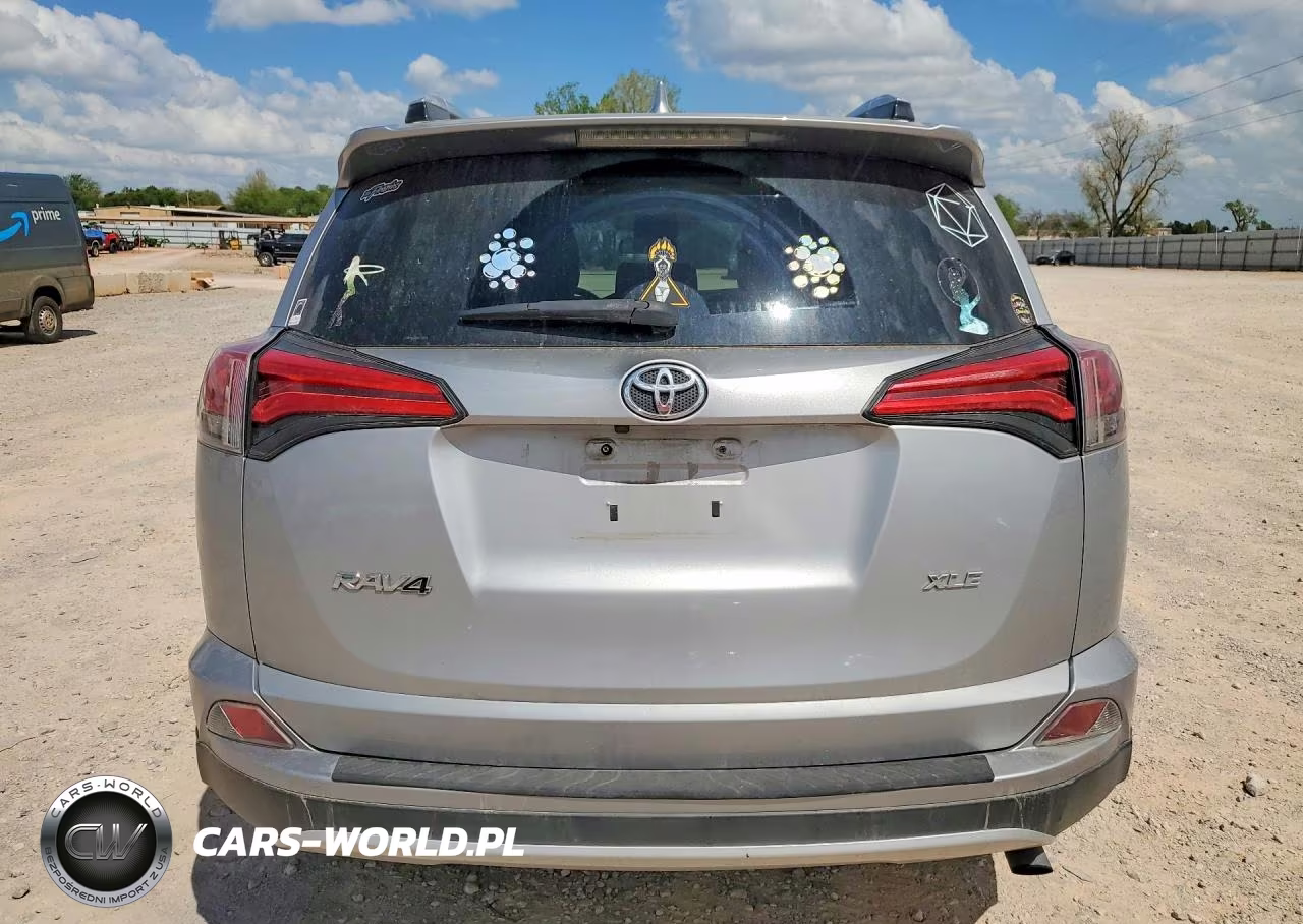 2016 Toyota Rav4 Xle VIN:2T3WFREV3GW272579 - 6