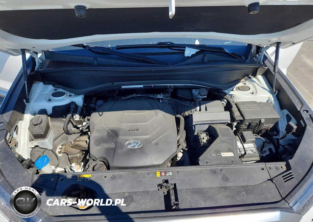 2020 Hyundai Palisade Sel VIN:KM8R4DHE3LU052833 - 12