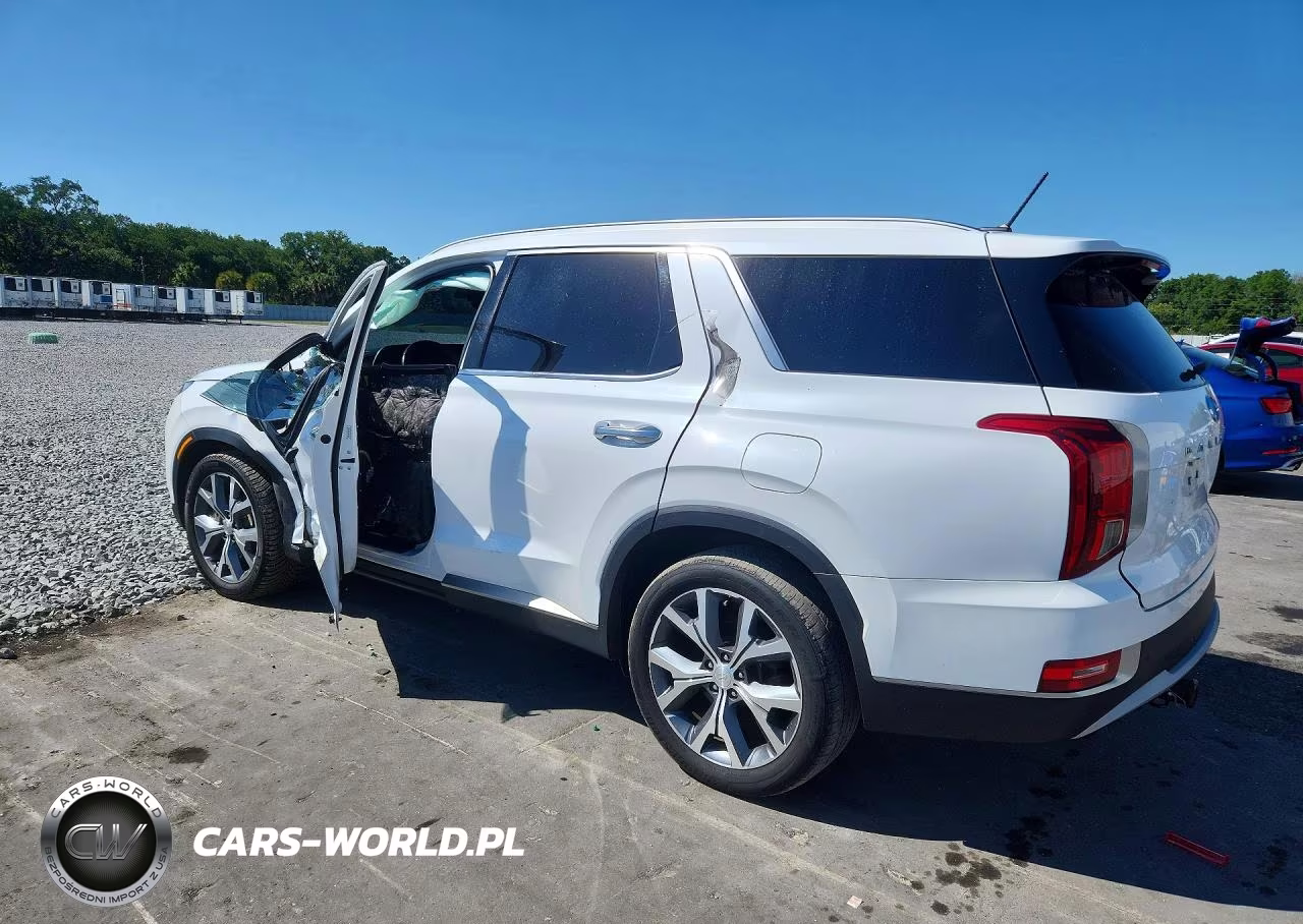 2020 Hyundai Palisade Sel VIN:KM8R4DHE3LU052833 - 2