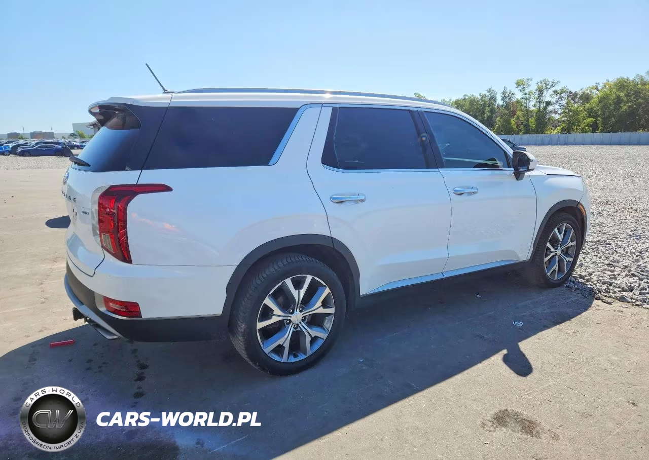 2020 Hyundai Palisade Sel VIN:KM8R4DHE3LU052833 - 3