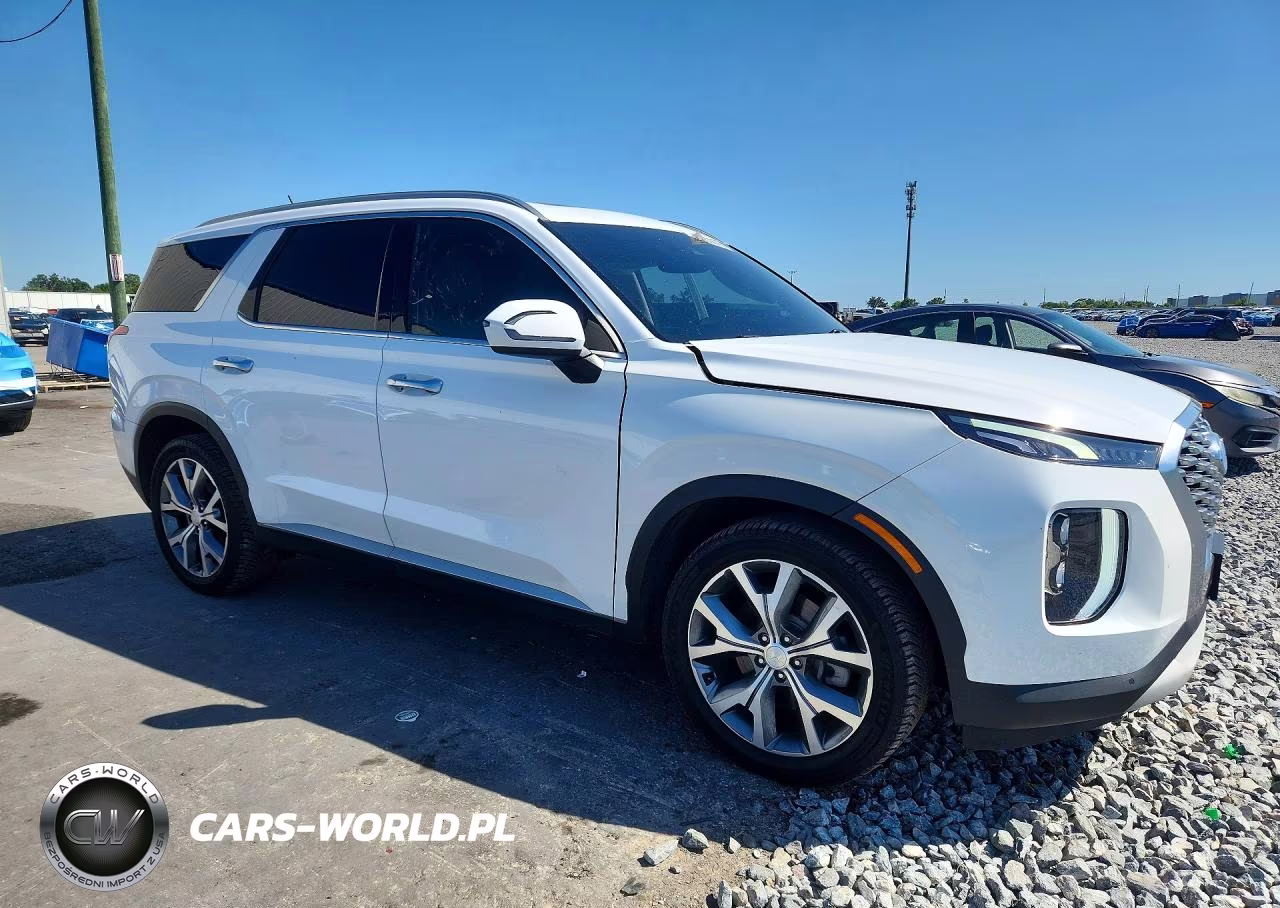 2020 Hyundai Palisade Sel VIN:KM8R4DHE3LU052833 - 4