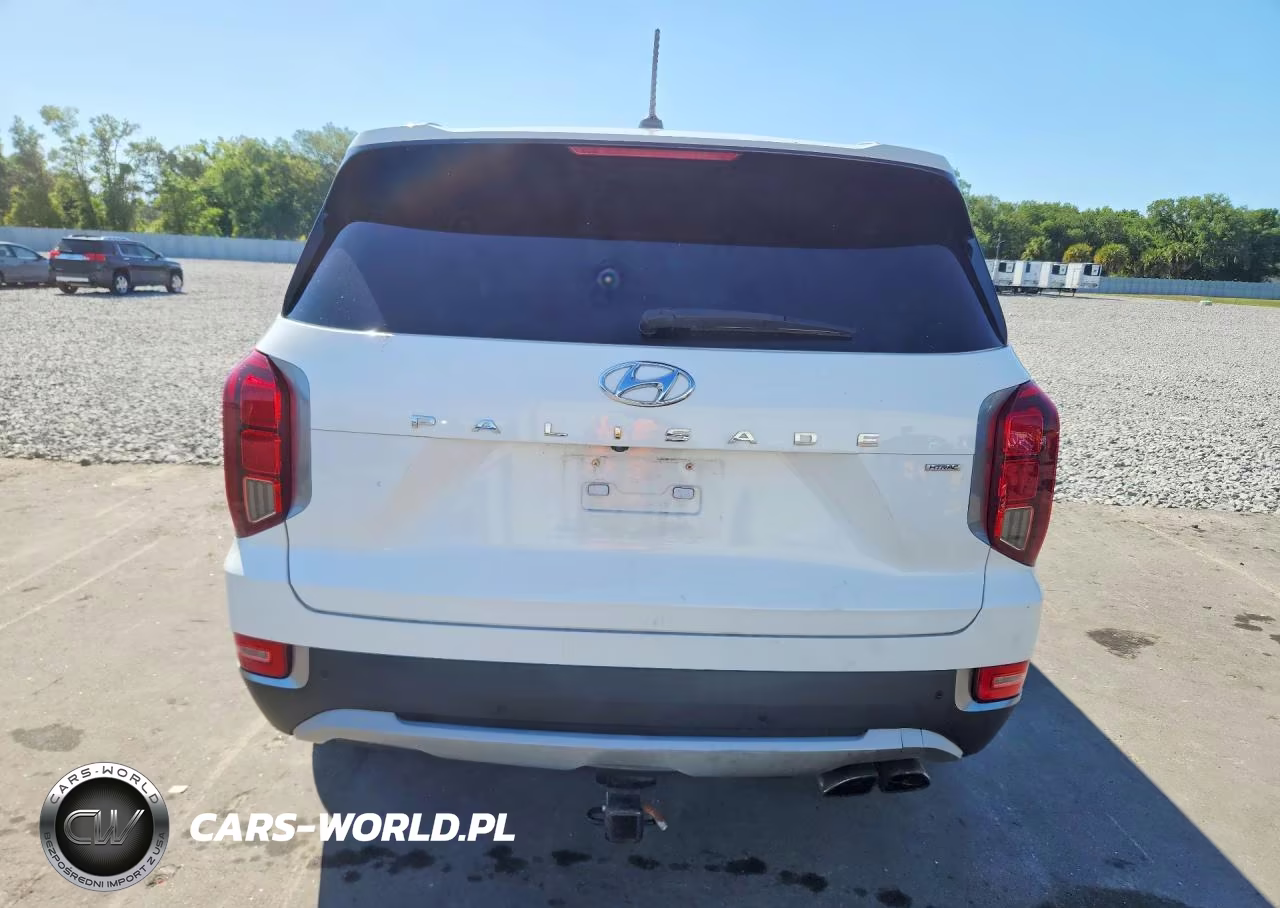 2020 Hyundai Palisade Sel VIN:KM8R4DHE3LU052833 - 6