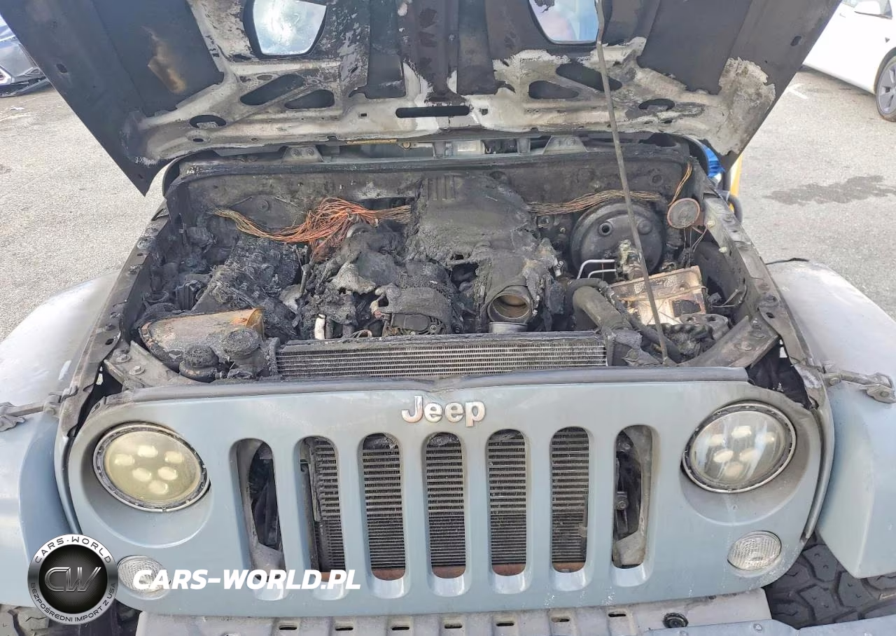 2014 Jeep Wrangler Unlimited Rubicon VIN:1C4HJWFG7EL173978 - 11