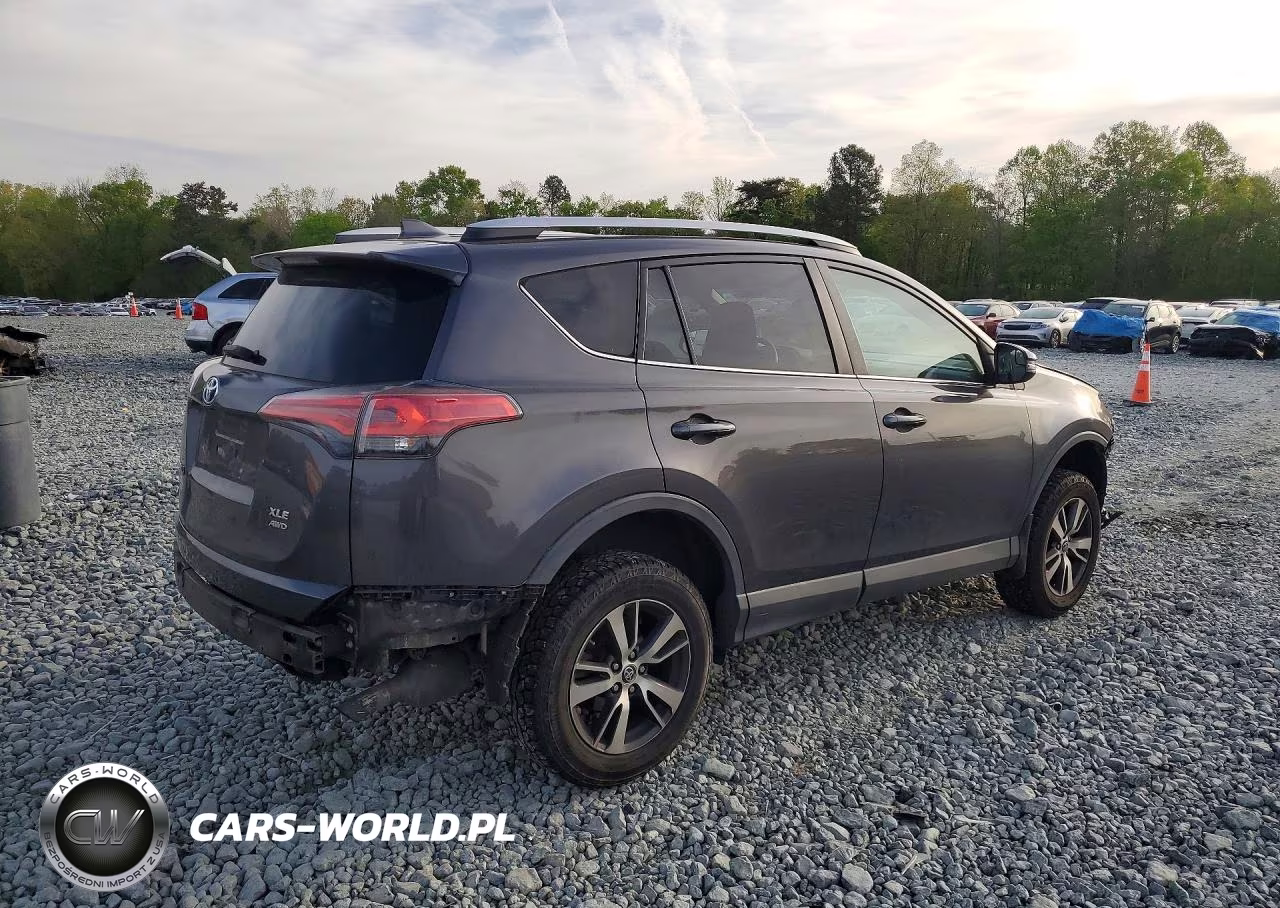 2016 Toyota Rav4 Xle VIN:2T3RFREV0GW503175 - 3