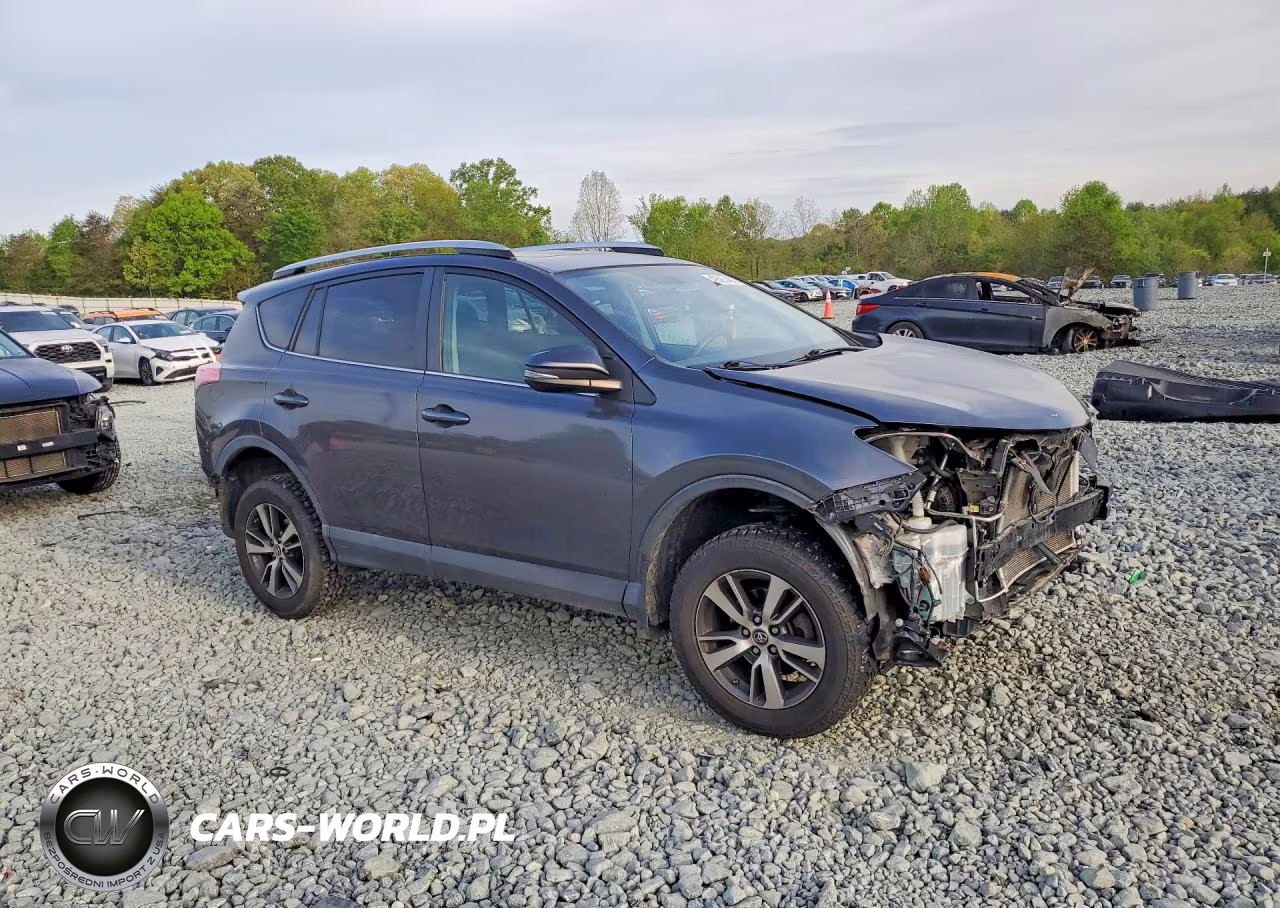 2016 Toyota Rav4 Xle VIN:2T3RFREV0GW503175 - 4