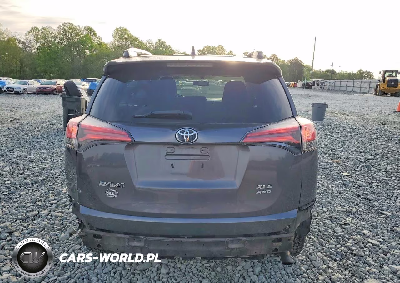 2016 Toyota Rav4 Xle VIN:2T3RFREV0GW503175 - 6