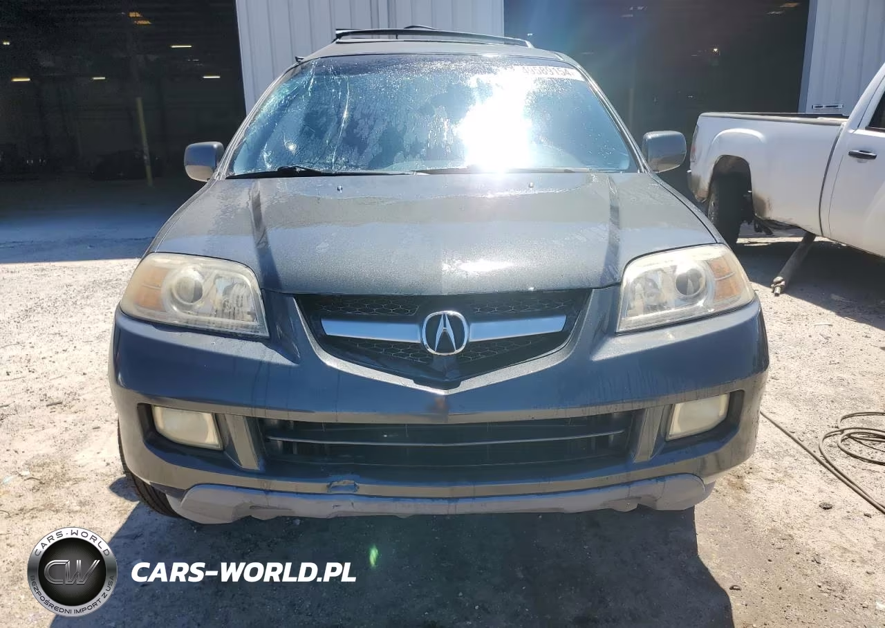 2004 Acura Mdx Touring VIN:2HNYD18644H509591 - 5