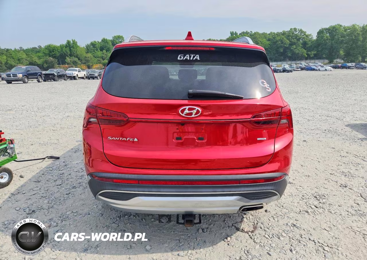 2021 Hyundai Santa Fe Sel VIN:5NMS3DAJ1MH342027 - 6
