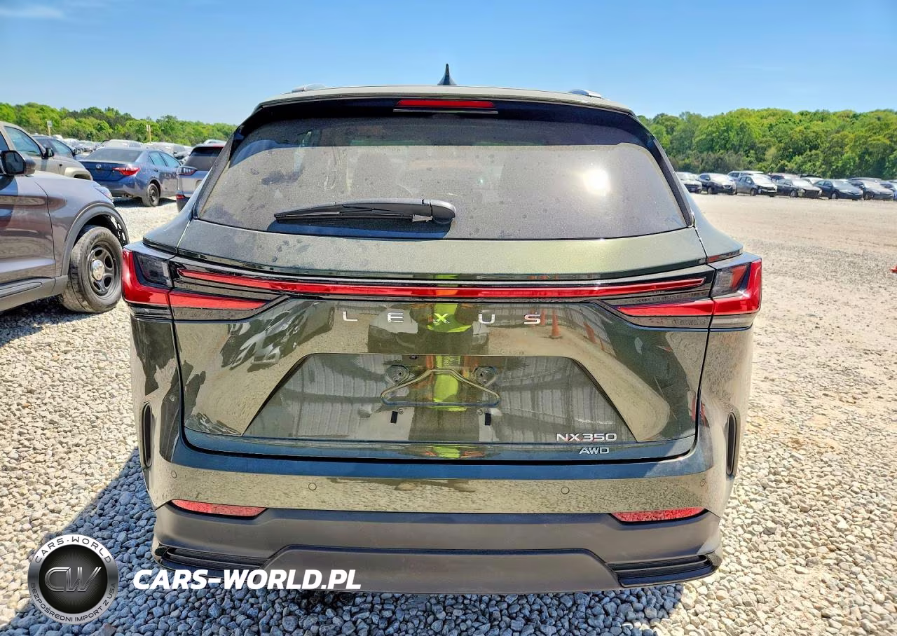2025 Lexus Nx 350 Premium VIN:JTJGGCEZ4S2023417 - 6