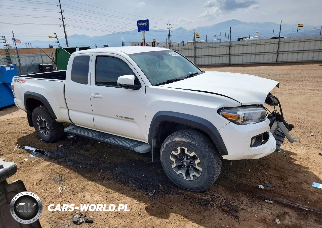 2021 Toyota Tacoma Trd Off-Road VIN:3TYSZ5AN4MT009913 - 4