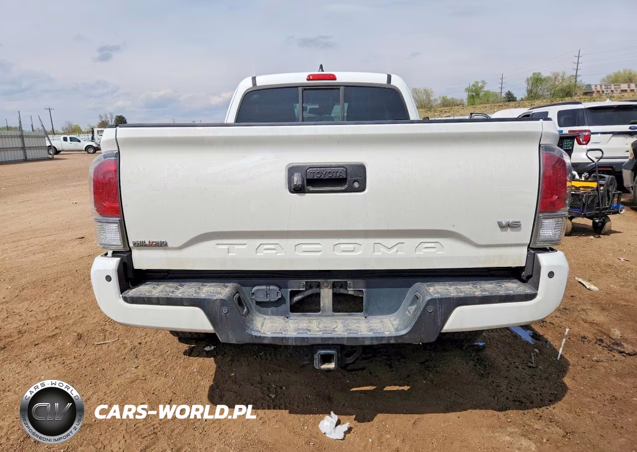 2021 Toyota Tacoma Trd Off-Road VIN:3TYSZ5AN4MT009913 - 6