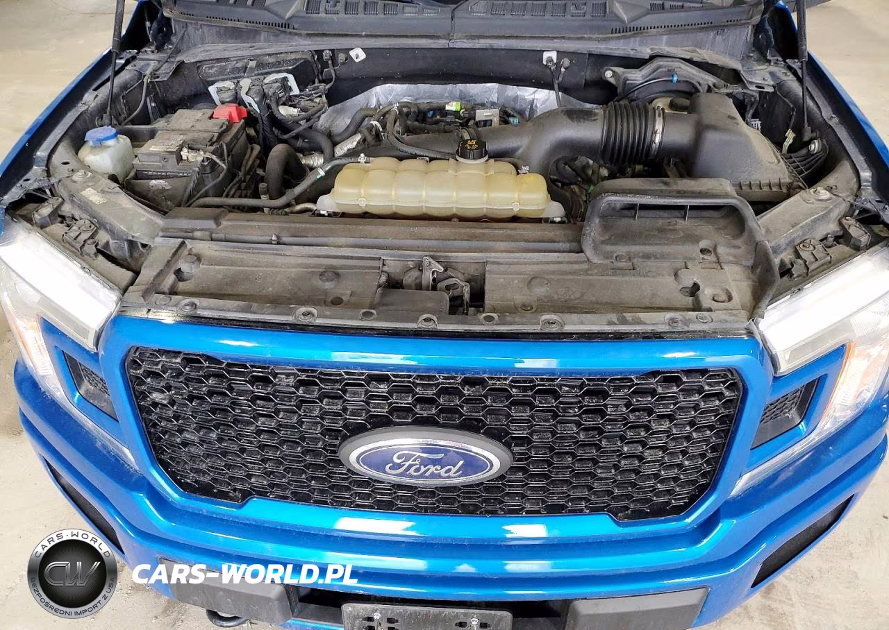 2019 Ford F150 Supercrew VIN:1FTEW1EP2KFB87631 - 11