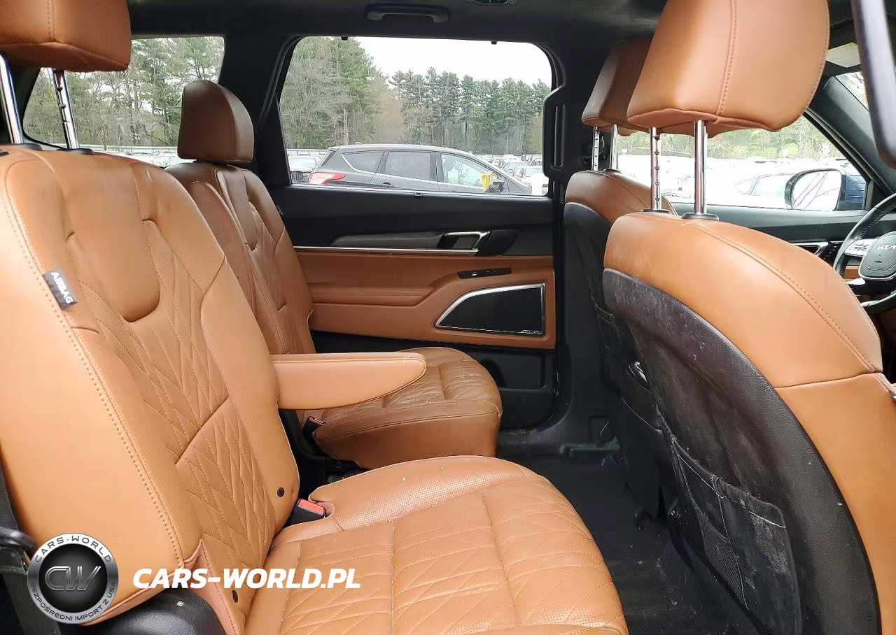 2023 Kia Telluride Sx-Prestige X-Pro VIN:5XYP5DGC5PG359999 - 11