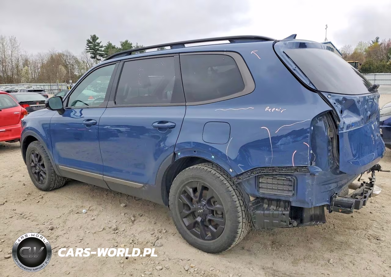2023 Kia Telluride Sx-Prestige X-Pro VIN:5XYP5DGC5PG359999 - 2
